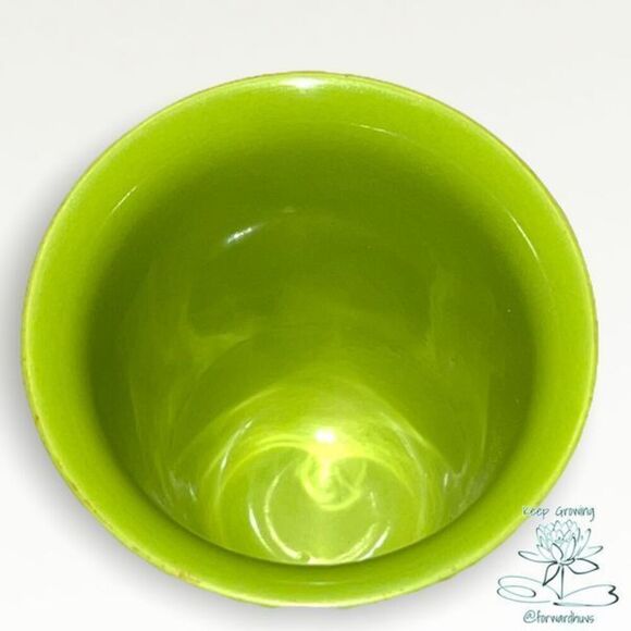 Green Angry Bird Ceramic Cup - Picture 4 of 6